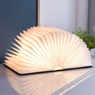 SMART BOOK LIGHTS